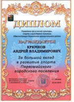 Диплом Крючкова А.В.