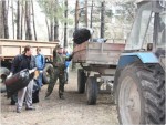 Усилена работа над чистотой улиц и дворов