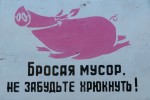 Юмористическо-сатирическая пропаганда