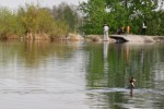 Готовы привлечь арендаторов для восстановления пляжа на бассейне